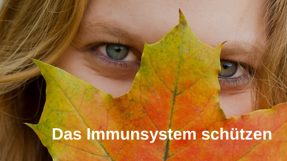 Immunsystem schützen