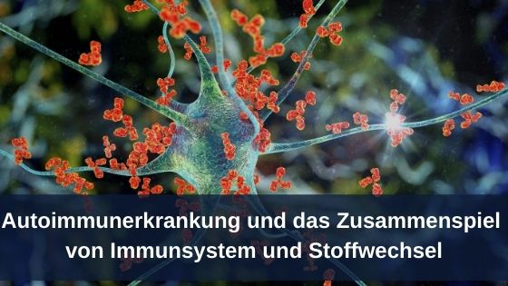 Autoimmunerkrankung und das Zusammenspiel von Immunsystem und Stoffwechsel