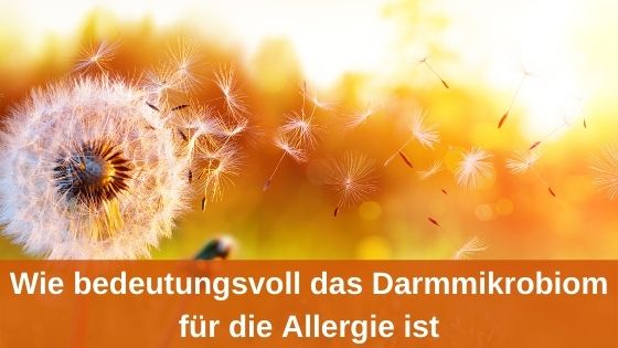 Wie bedeutungsvoll das Darmmikrobiom für die Allergie ist