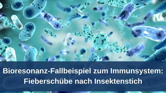 Bioresonanz-Fallbeispiel zum Immunsystem: Fieberschübe nach Insektenstich
