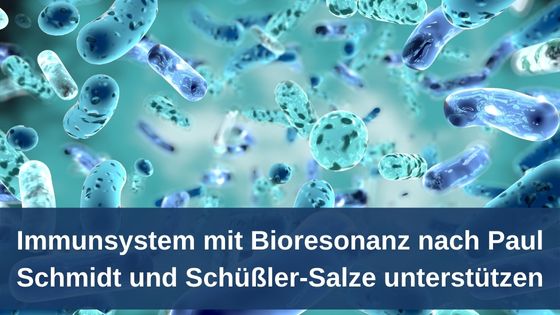 Immunsystem mit Bioresonanz nach Paul Schmidt und Schüßler-Salze unterstützen