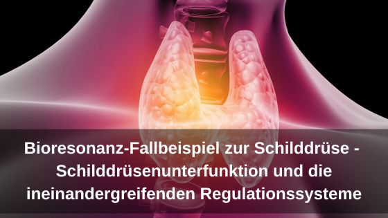 Bioresonanz-Fallbeispiel zur Schilddrüse - Schilddrüsenunterfunktion und die ineinandergreifenden Regulationssysteme