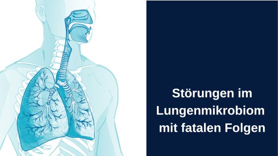 Störungen im Lungenmikrobiom mit fatalen Folgen