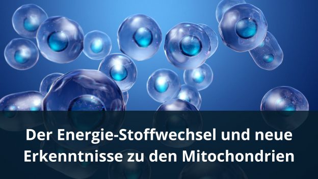 Der Energie-Stoffwechsel und neue Erkenntnisse zu den Mitochondrien