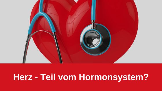Herz – Teil vom Hormonsystem?