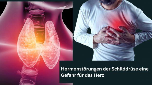 Hormonstörungen der Schilddrüse eine Gefahr für das Herz