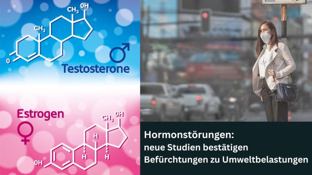 Hormonstörungen: neue Studien bestätigen Befürchtungen zu Umweltbelastungen