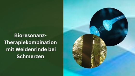 Bioresonanz-Therapiekombination mit Weidenrinde bei Schmerzen