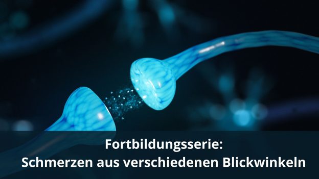 Fortbildungsserie: Schmerzen aus verschiedenen Blickwinkeln