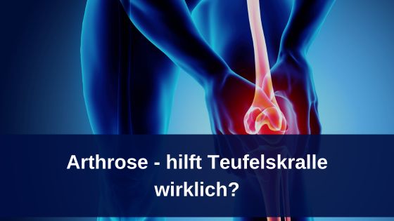 Arthrose – hilft Teufelskralle wirklich
