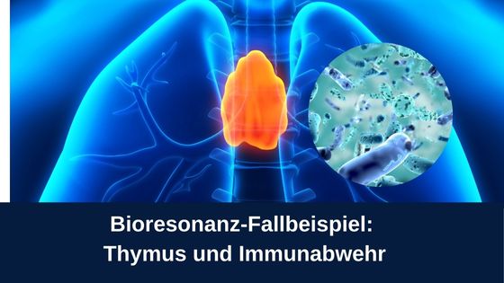 Bioresonanz-Fallbeispiel: Thymus und Immunabwehr