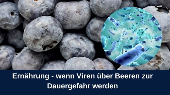 Ernährung – wenn Viren über Beeren zur Gefahr werden