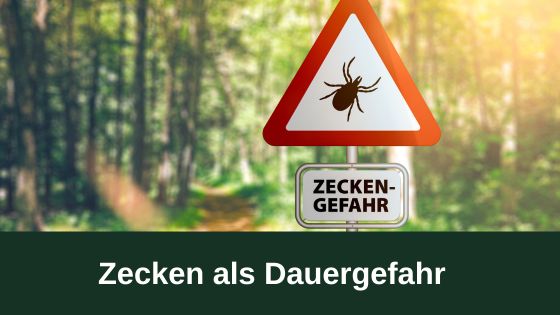 Zecken als Dauergefahr