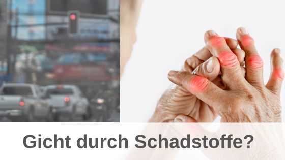 Bioresonanz-Fallbeispiel: Gicht durch Schadstoffe