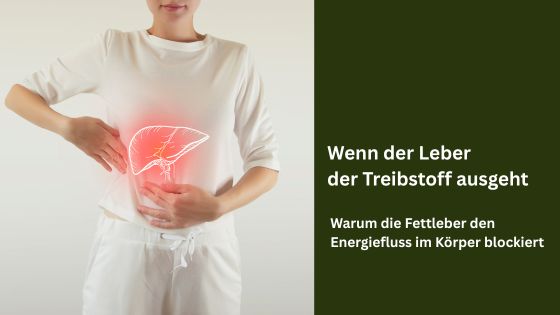 Wenn der Leber der Treibstoff ausgeht: Warum die Fettleber den Energiefluss im Körper blockiert