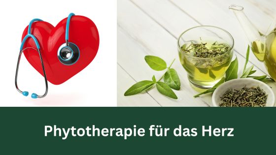 Phytotherapie, Herzerkrankungen, Bioresonanz nach Paul Schmidt, Bioresonanztherapie