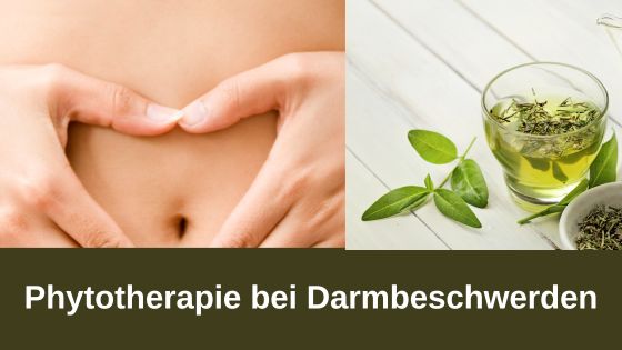 Phytotherapie bei Darmbeschwerden