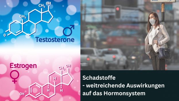 Schadstoffe – weitreichende Auswirkungen auf das Hormonsystem