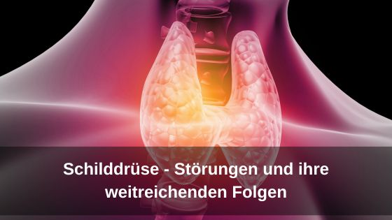 Schilddrüse – Störungen und ihre weitreichenden Folgen