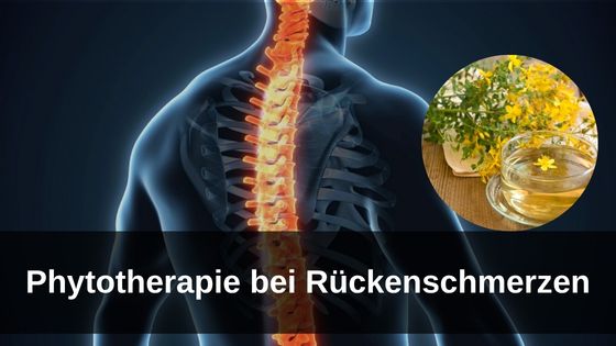 Phytotherapie bei Rückenschmerzen